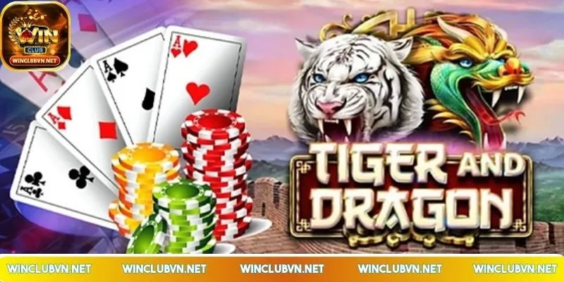 rong-ho-bi-kip-dat-cuoc